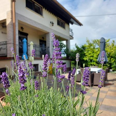 Apartman Nada Ozalj Екстериор снимка