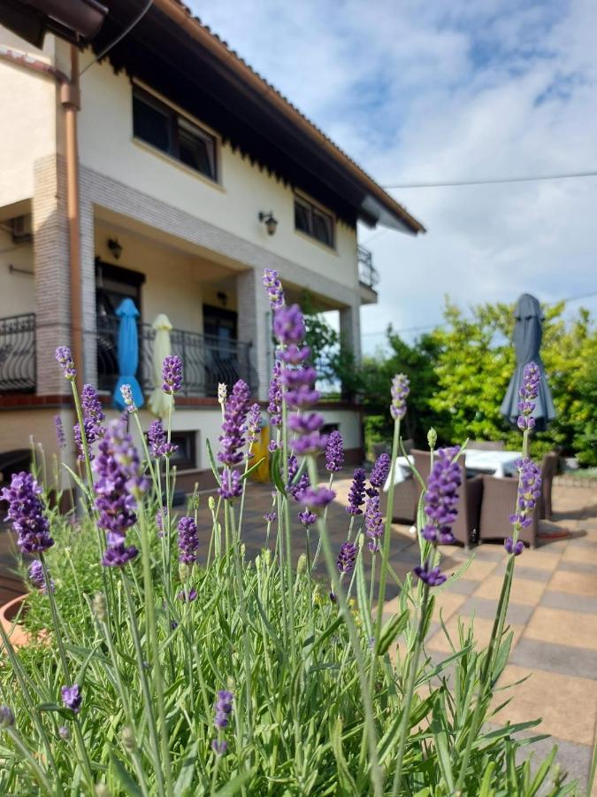 Apartman Nada Ozalj Екстериор снимка